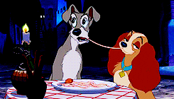 two dogs from Lady and the Tramp share spaghetti and kiss