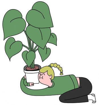 woman hugging a potted plant