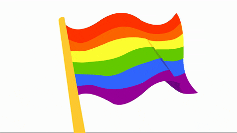 rainbow flag