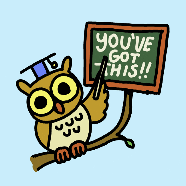 Owl with chalkboard that says 'you've got this!!'